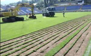 Zenička "Alba" očekuje da preuzme održavanje travnjaka na stadionu Grbavica